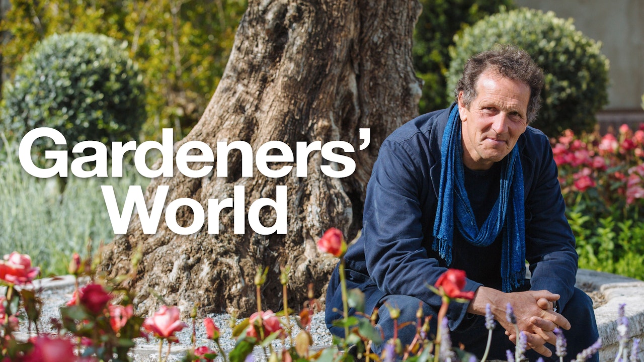 Gardeners' World Se med BritBox her TV 2 Play