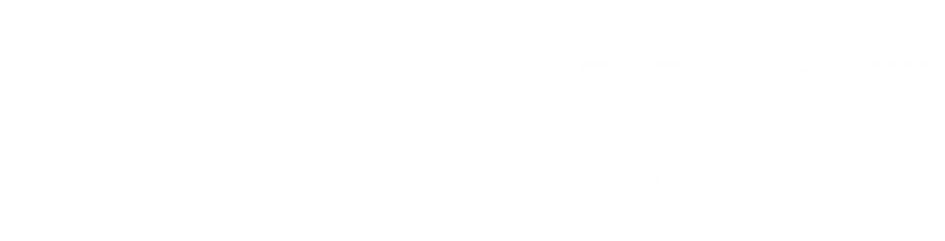 Allegiance