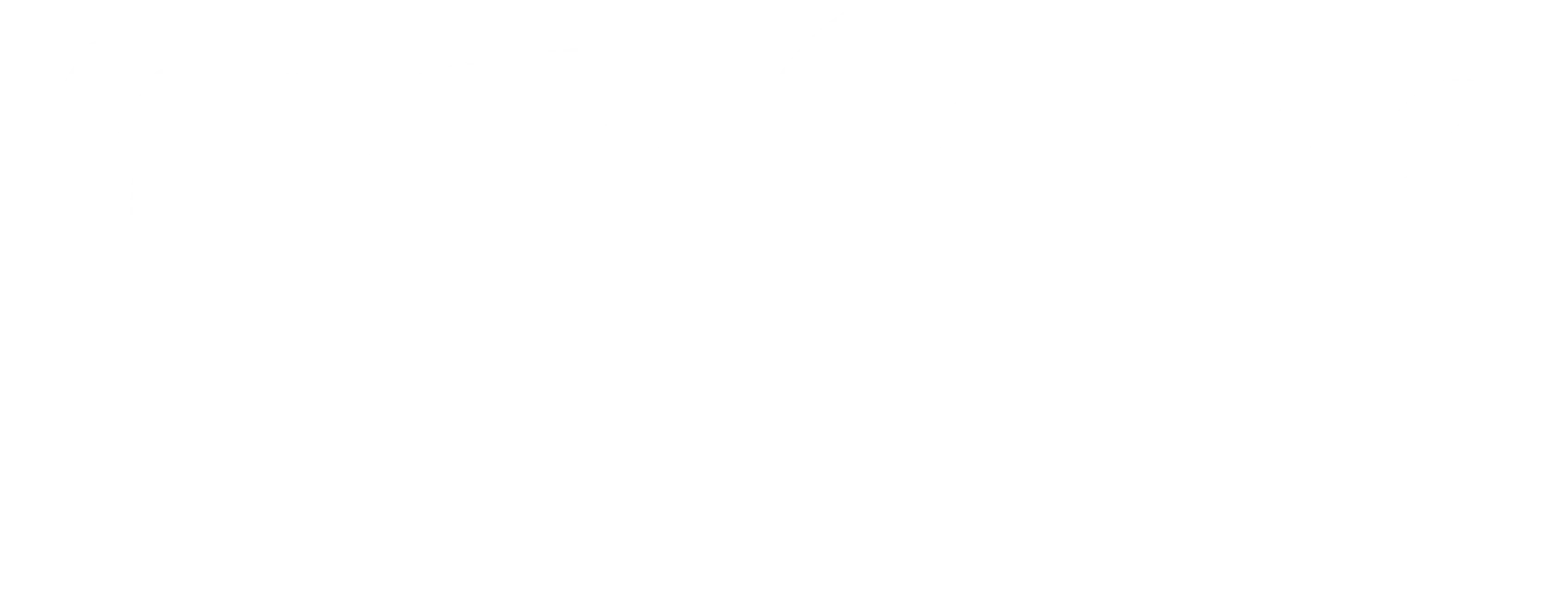 Winter Spring Summer or Fall