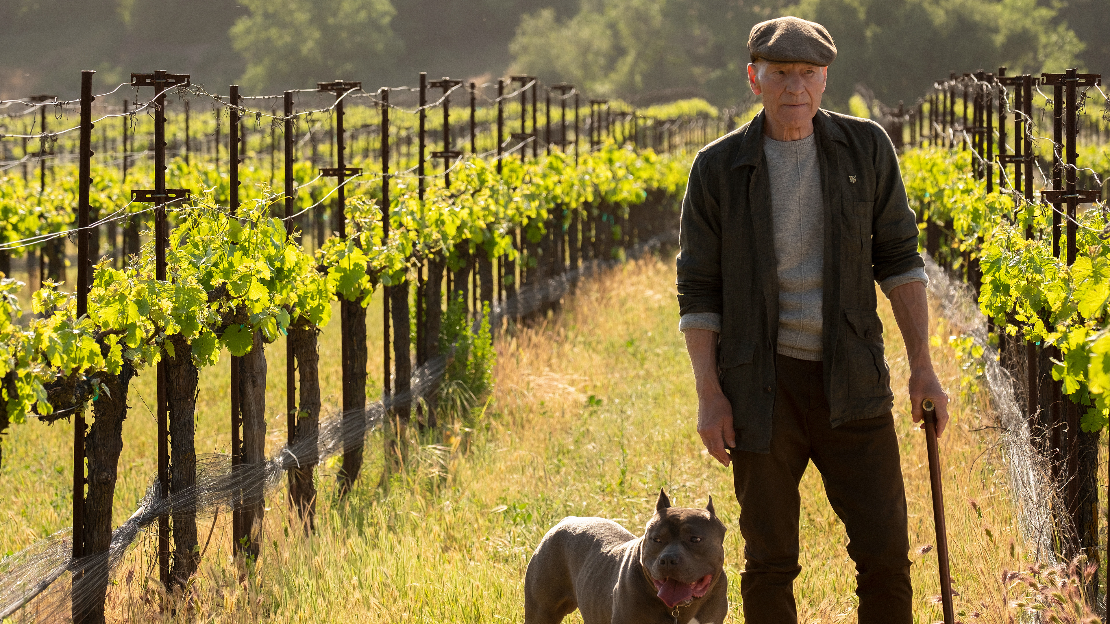 Star Trek Picard Se med SkyShowtime - 40bdd624 1a01 4f23 Af0c 