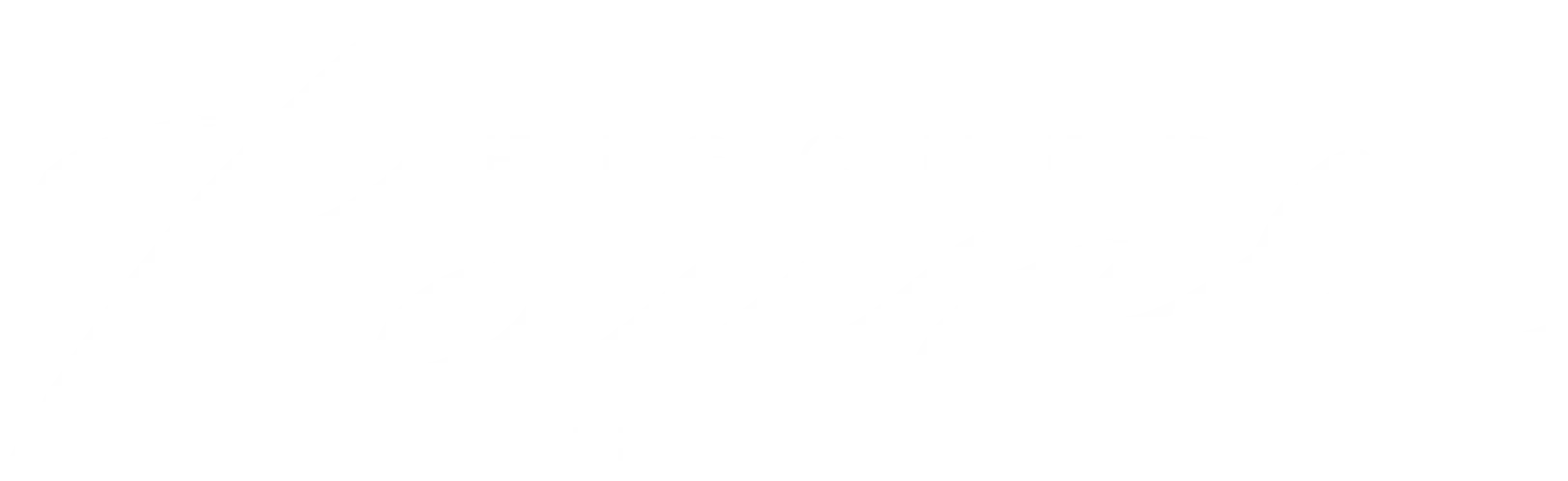 Koncert med Helene Fischer - Rausch live