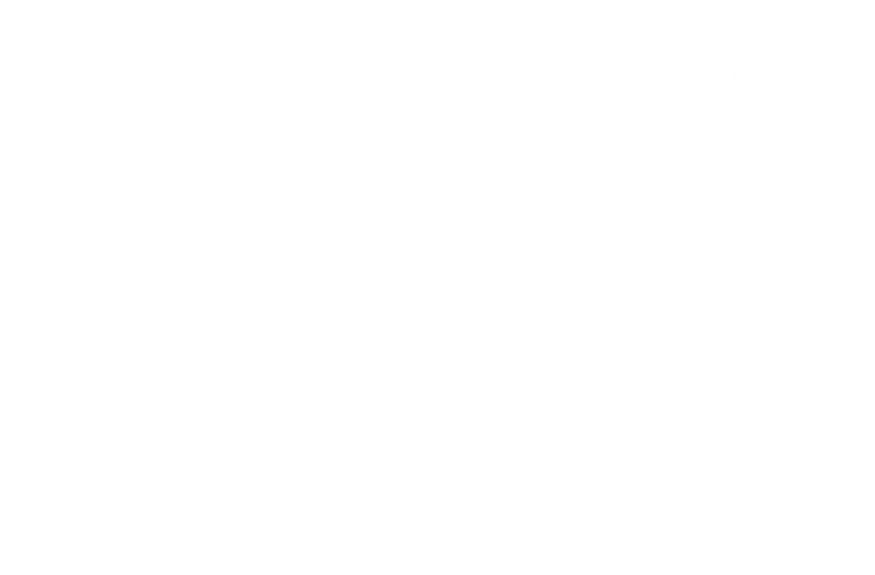 Sport Fokus