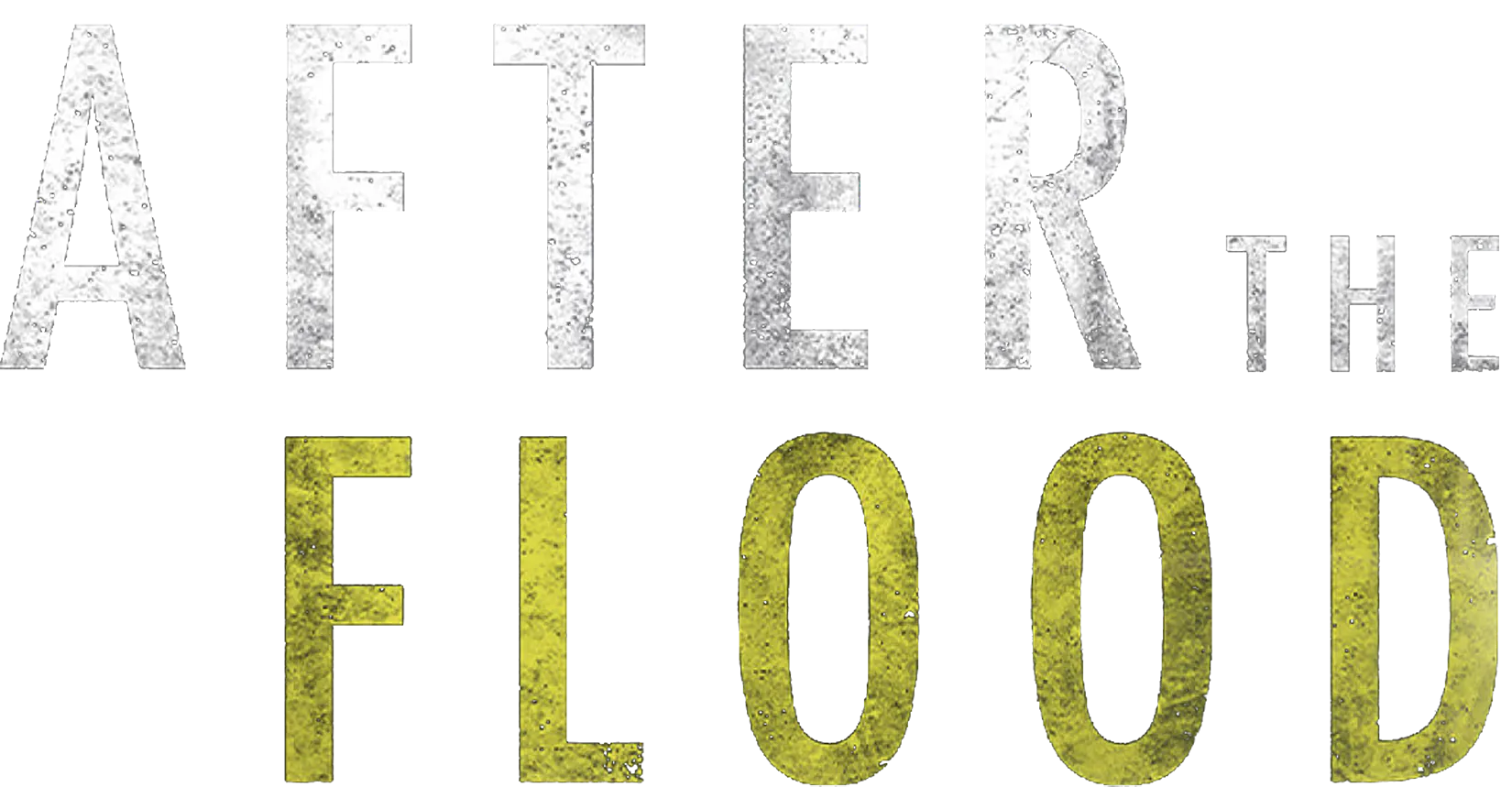 After the Flood