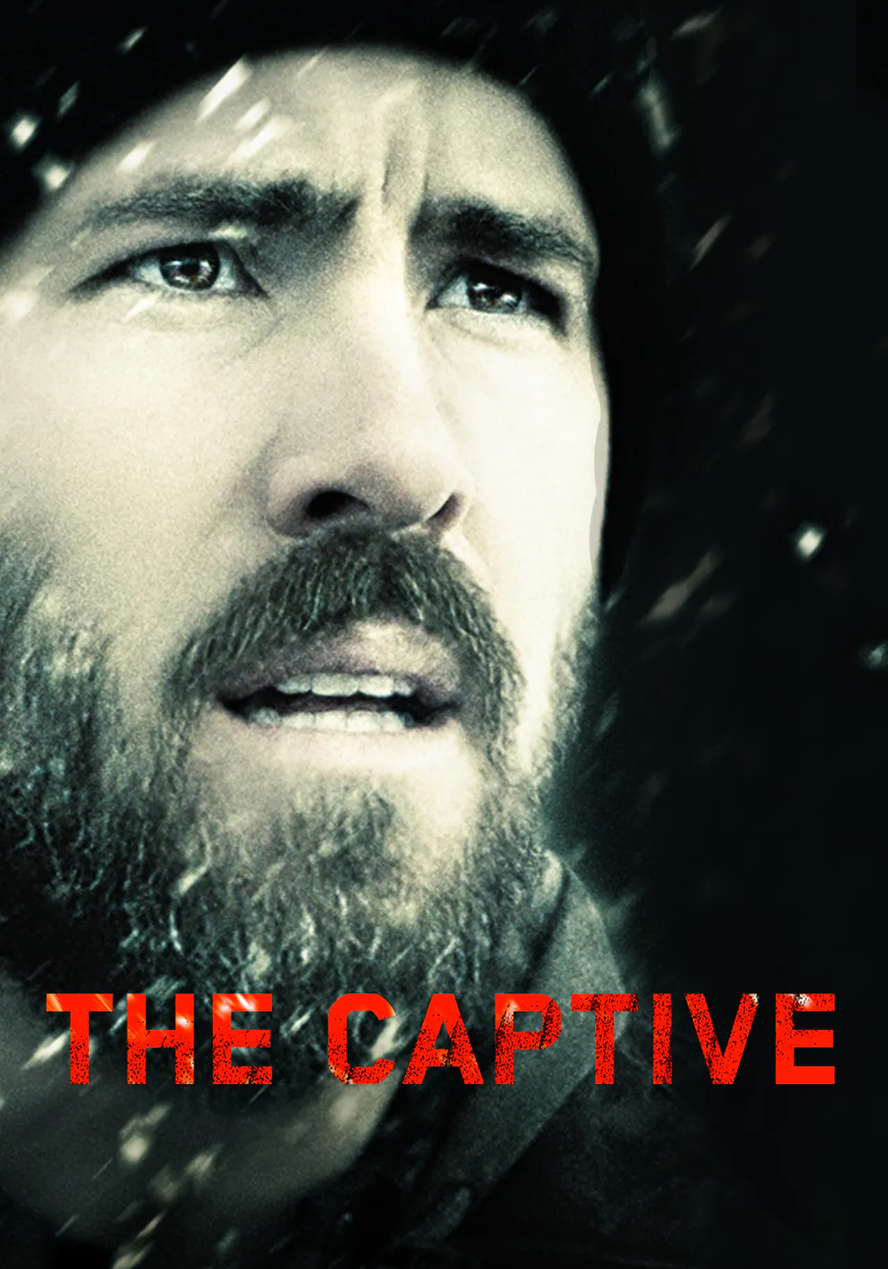The Captive, Se med SkyShowtime her