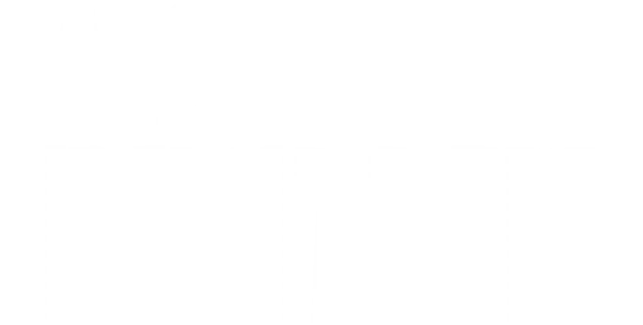 Falsk identitet