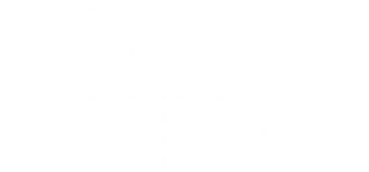 Royal Run