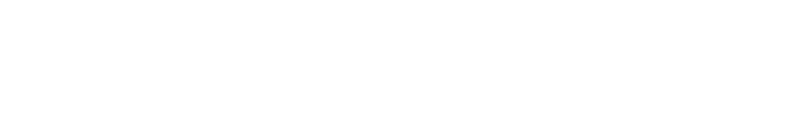 Den sorte svane