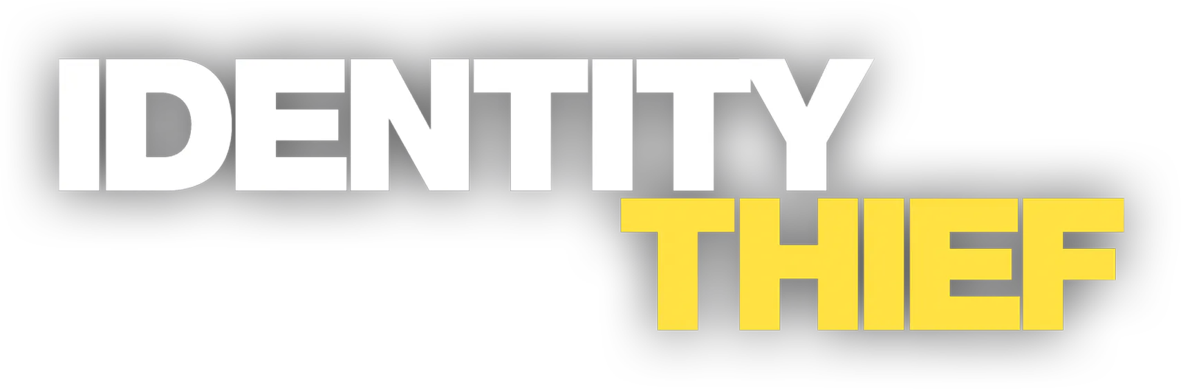 Identity Thief