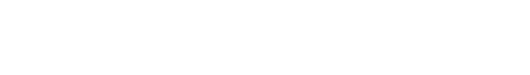 Besserwisserne