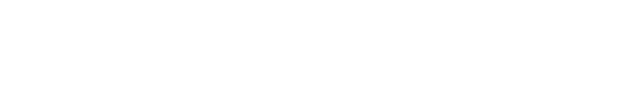 Besserwisserne