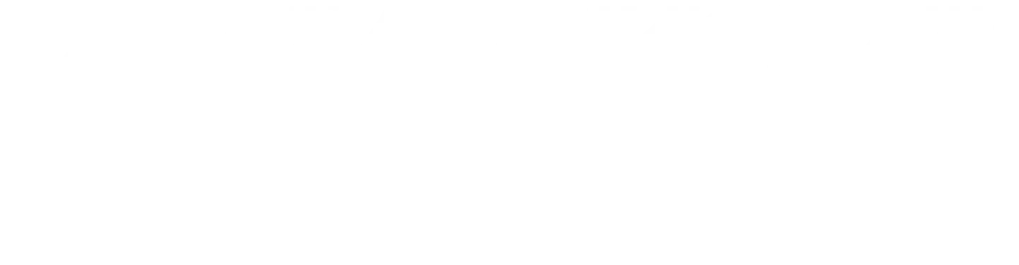 Vi har købt en landsby