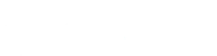 Vi har købt en landsby