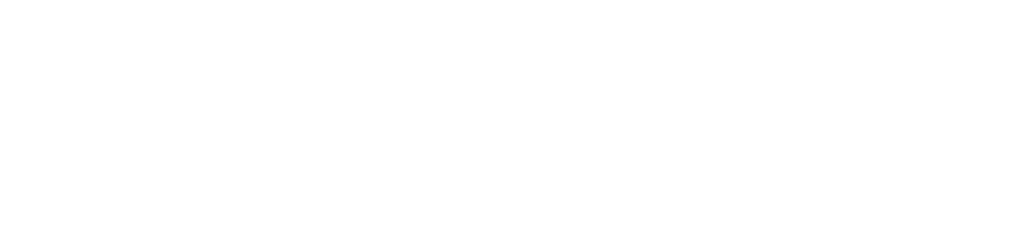 Kurs mod fjerne kyster