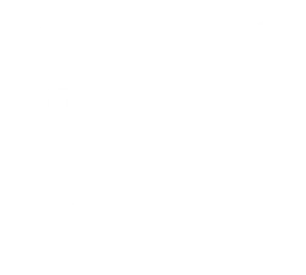 Killing Them Softly