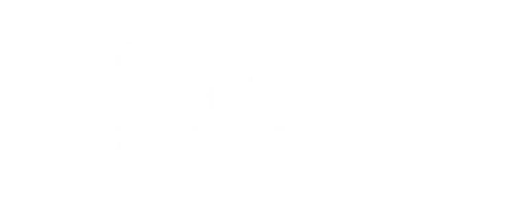The Woman in the Wall