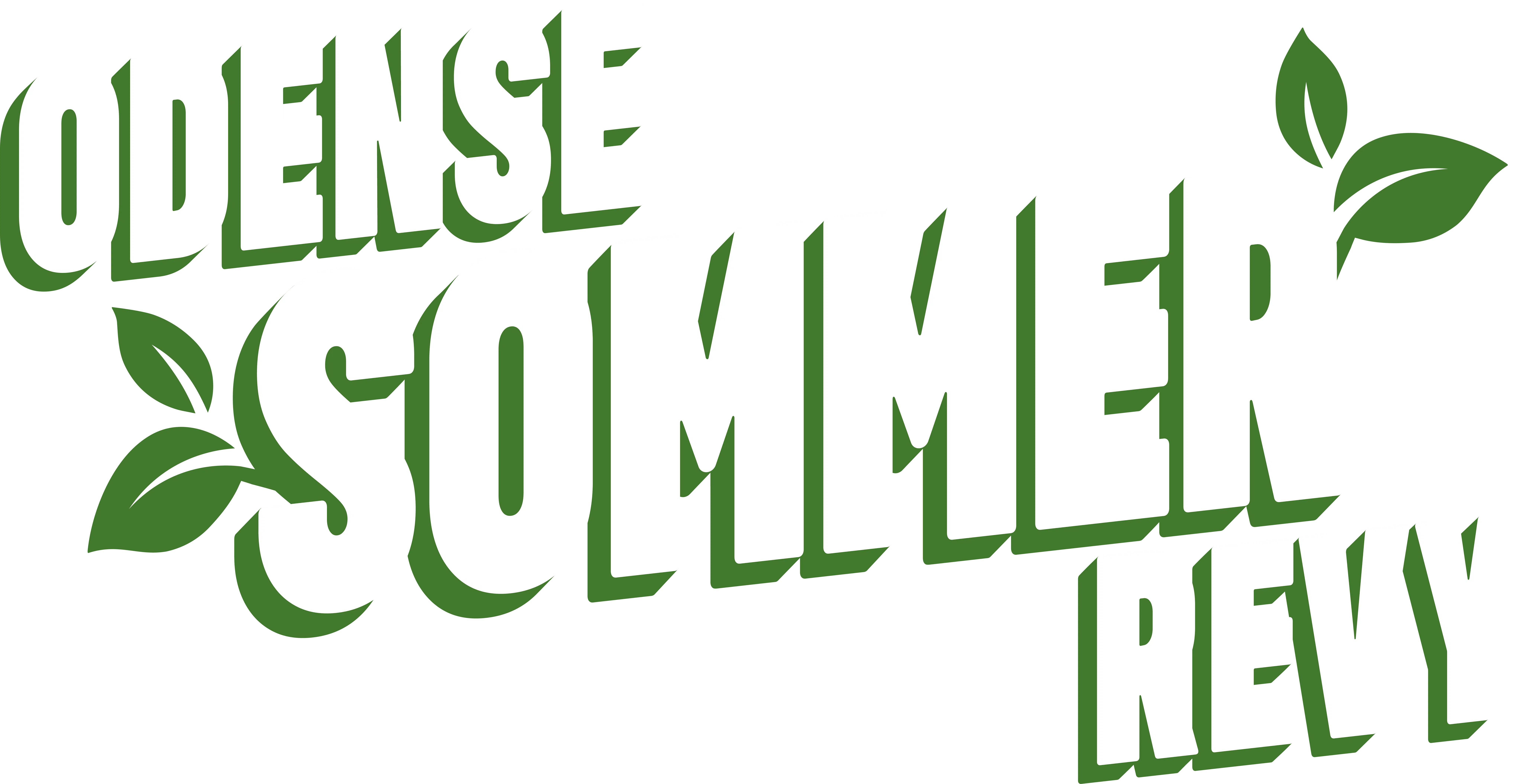 Odense Sommerrevy